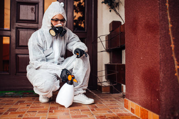 Reliable Bed Bug Control contractor in Gig Harbor, WA by Nex Pest Control