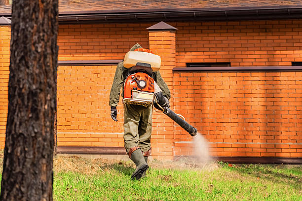 Trusted Rodent Control service in Gig Harbor, WA - Nex Pest Control